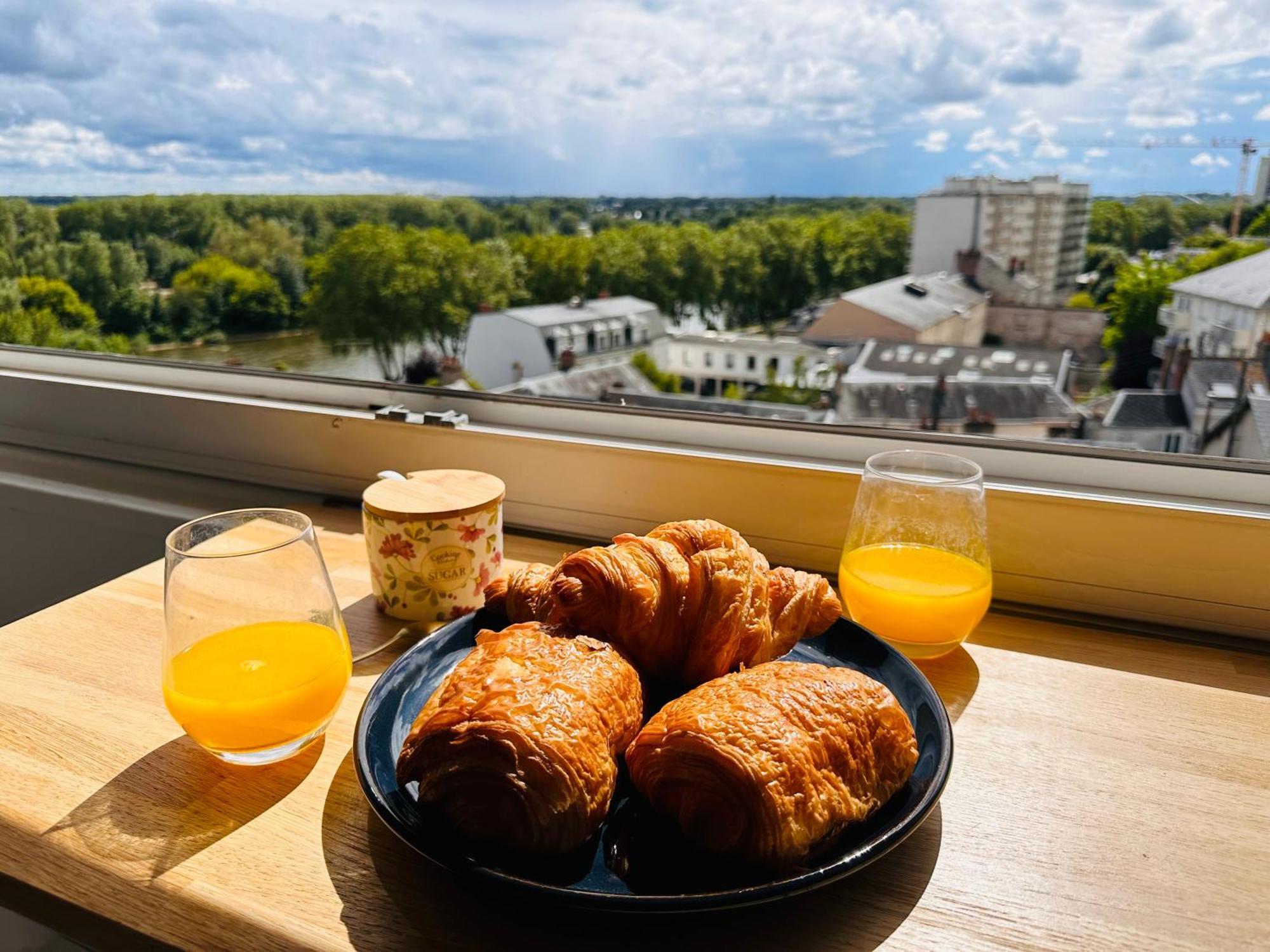 Apartment Proche Bord De Loire - 2 Avec Grand Balcon - Le Panoramique Orleanais